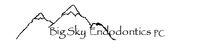Link to Big Sky Endodontics home page